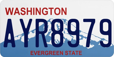 WA license plate AYR8979