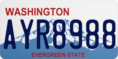 WA license plate AYR8988