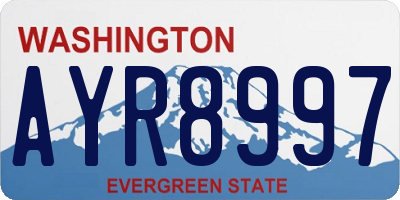 WA license plate AYR8997