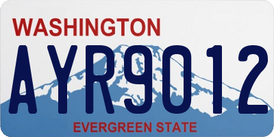 WA license plate AYR9012