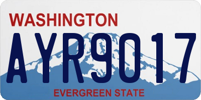 WA license plate AYR9017