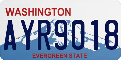 WA license plate AYR9018