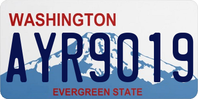 WA license plate AYR9019