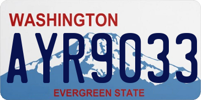 WA license plate AYR9033