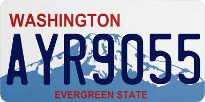 WA license plate AYR9055