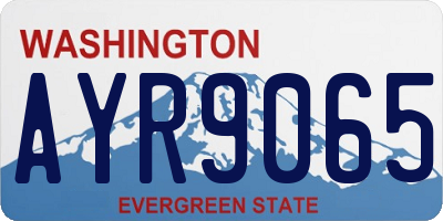 WA license plate AYR9065