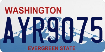 WA license plate AYR9075