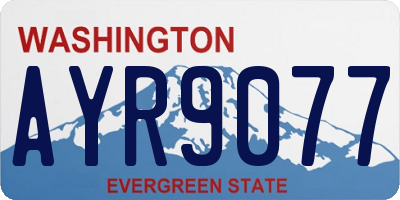 WA license plate AYR9077