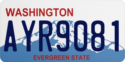 WA license plate AYR9081