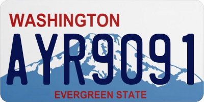 WA license plate AYR9091