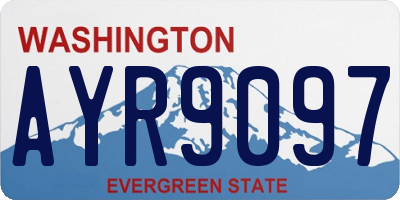 WA license plate AYR9097