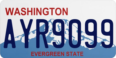 WA license plate AYR9099