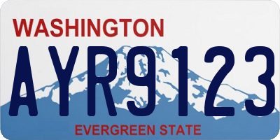WA license plate AYR9123