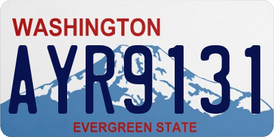 WA license plate AYR9131