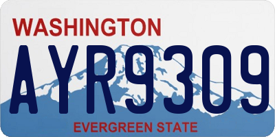 WA license plate AYR9309