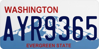 WA license plate AYR9365