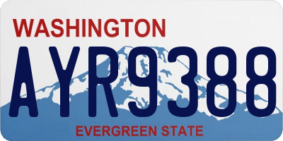 WA license plate AYR9388