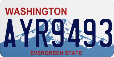 WA license plate AYR9493