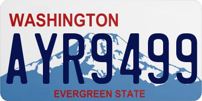 WA license plate AYR9499