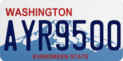 WA license plate AYR9500