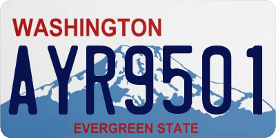 WA license plate AYR9501