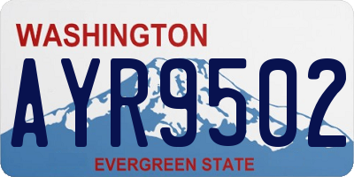 WA license plate AYR9502