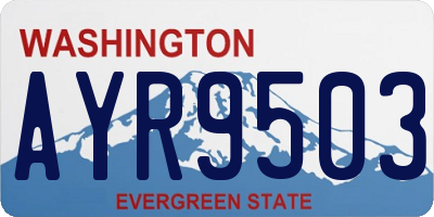 WA license plate AYR9503