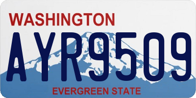 WA license plate AYR9509