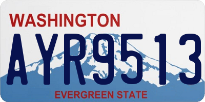 WA license plate AYR9513