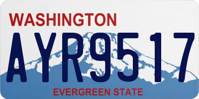 WA license plate AYR9517