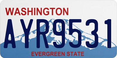 WA license plate AYR9531