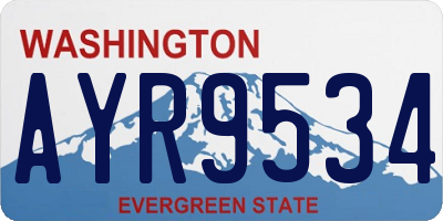 WA license plate AYR9534