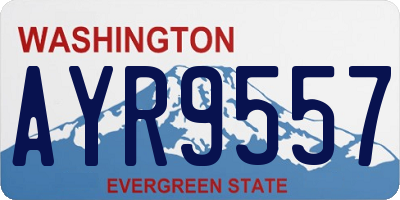 WA license plate AYR9557