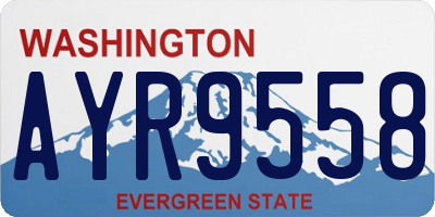 WA license plate AYR9558