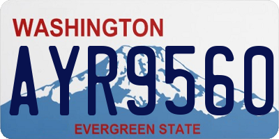 WA license plate AYR9560
