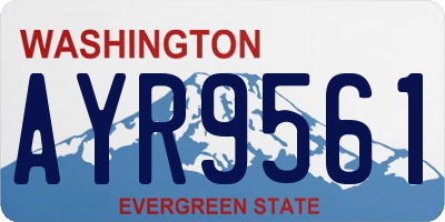 WA license plate AYR9561