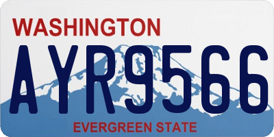 WA license plate AYR9566