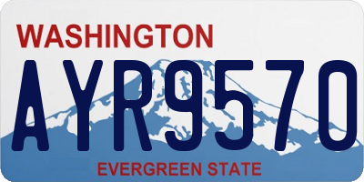 WA license plate AYR9570