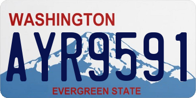 WA license plate AYR9591