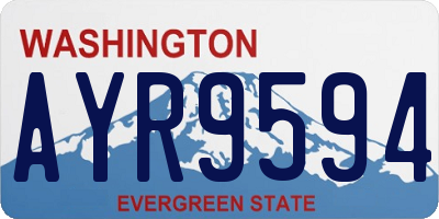 WA license plate AYR9594