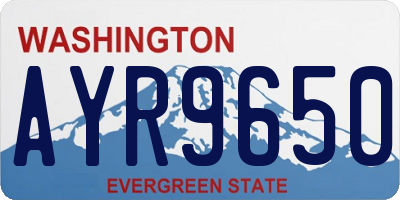 WA license plate AYR9650