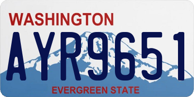 WA license plate AYR9651