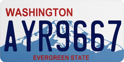 WA license plate AYR9667