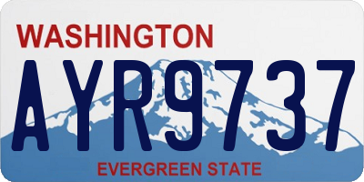 WA license plate AYR9737