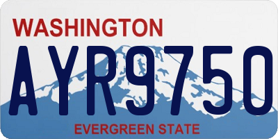WA license plate AYR9750