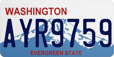 WA license plate AYR9759