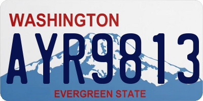 WA license plate AYR9813