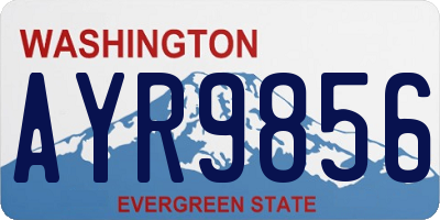 WA license plate AYR9856