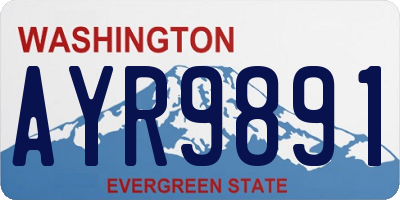 WA license plate AYR9891
