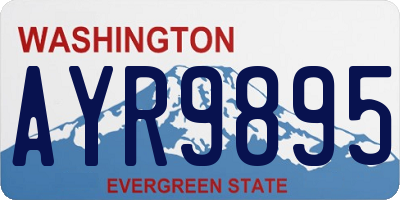 WA license plate AYR9895